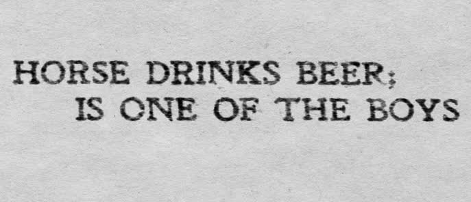Horse Drink Beer_ Is One Of The Boys.jpg